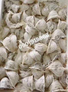 YẾN THÔ(DÀNH RÚT LÔNG KHÔ)/100g